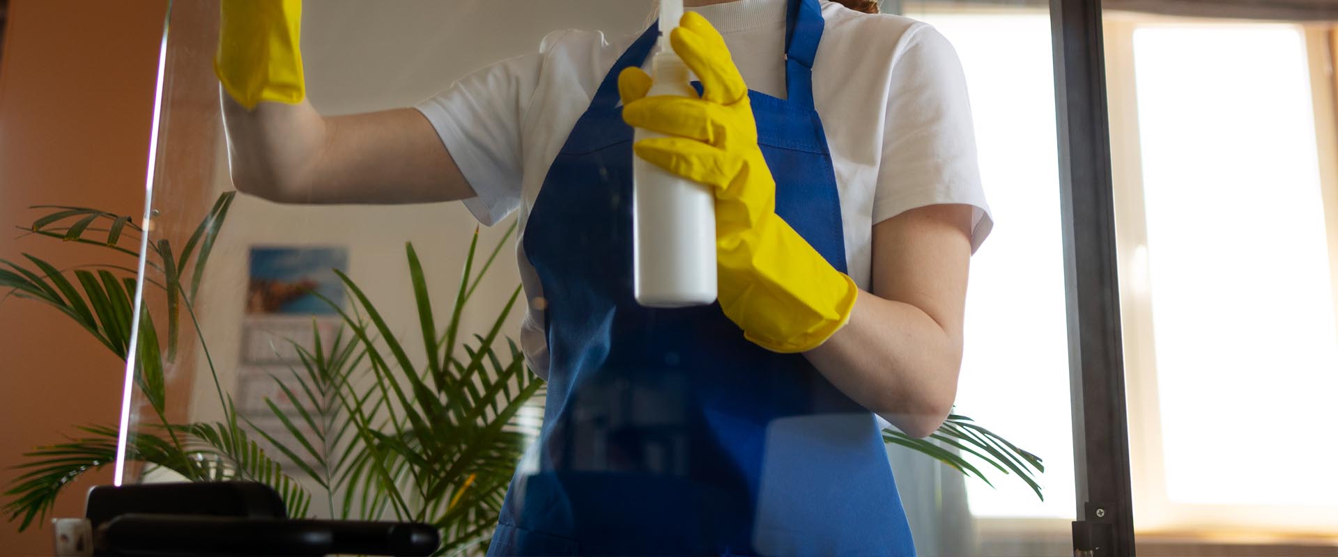 Best Ornamental Cleaning Service in Delhi by White Collar Forever White
